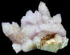 Cactus Quartz (Amethyst) Cluster - South Africa #38995-2